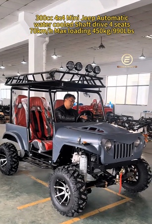 300CC 4x4 &nbsp;Gasoline Willys Mini Jeep
